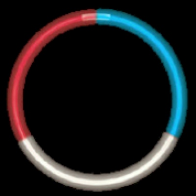 R/W/B GLOW NECKLACE (50/TUBE)